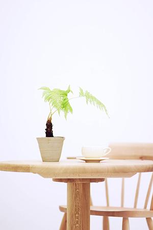 ホームシアターづくりの専門家集団