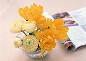 健康や環境に気を配った意識の高い家具